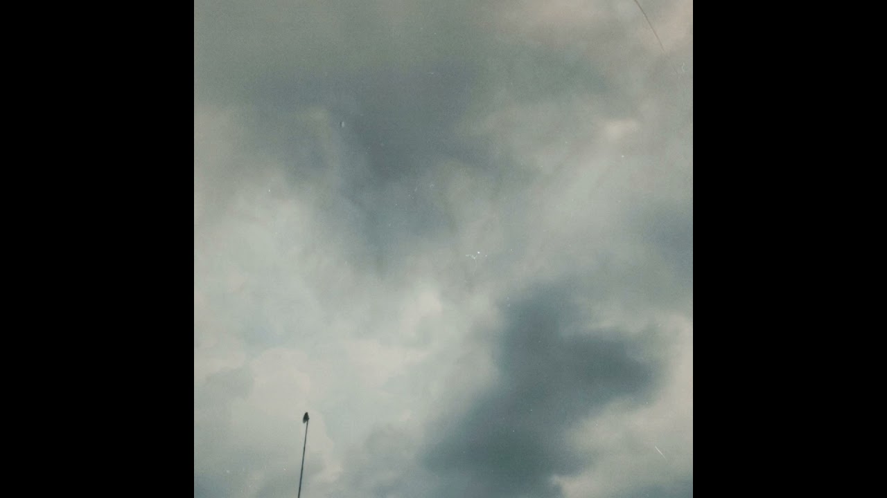 suei - por idiota