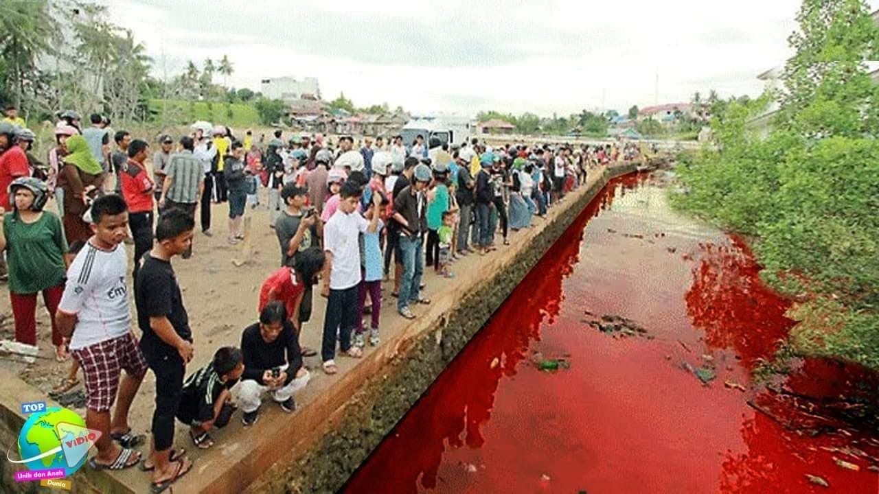 Fenomena Aneh!! Sungai Tiba² Berwarna Merah... Dikira Luka Sapi!! Ternyata...