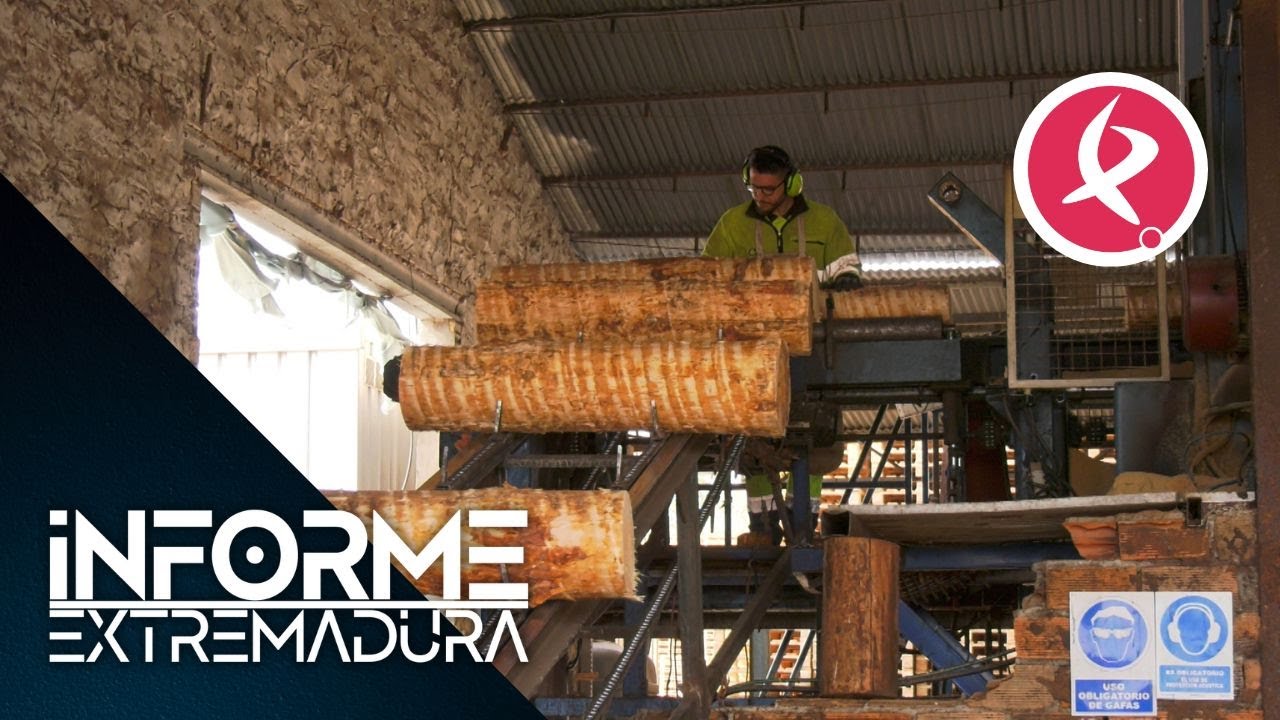 Del tronco hasta la corteza, así se trabaja en un aserradero | Informe Extremadura