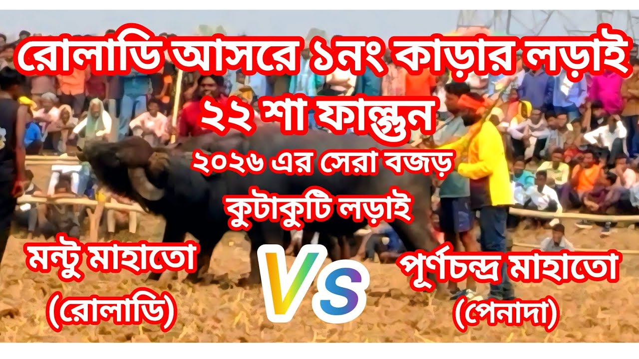 রোলাডি আসরে ১নং কাড়ার লড়াই।