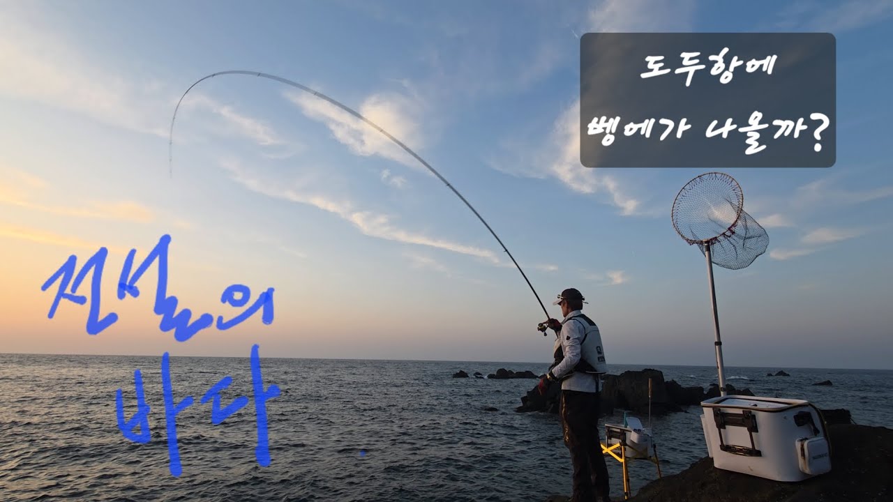 도두항 작은방파제 탐사.