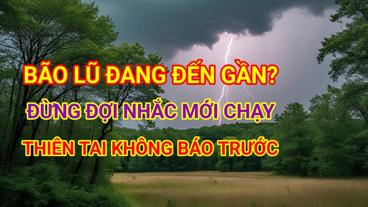 Những Dấu Hiệu Bão Lũ Sắp Nguy Hiểm – Đừng Đợi Chính Quyền Nhắc | Thiên Tai Việt Nam