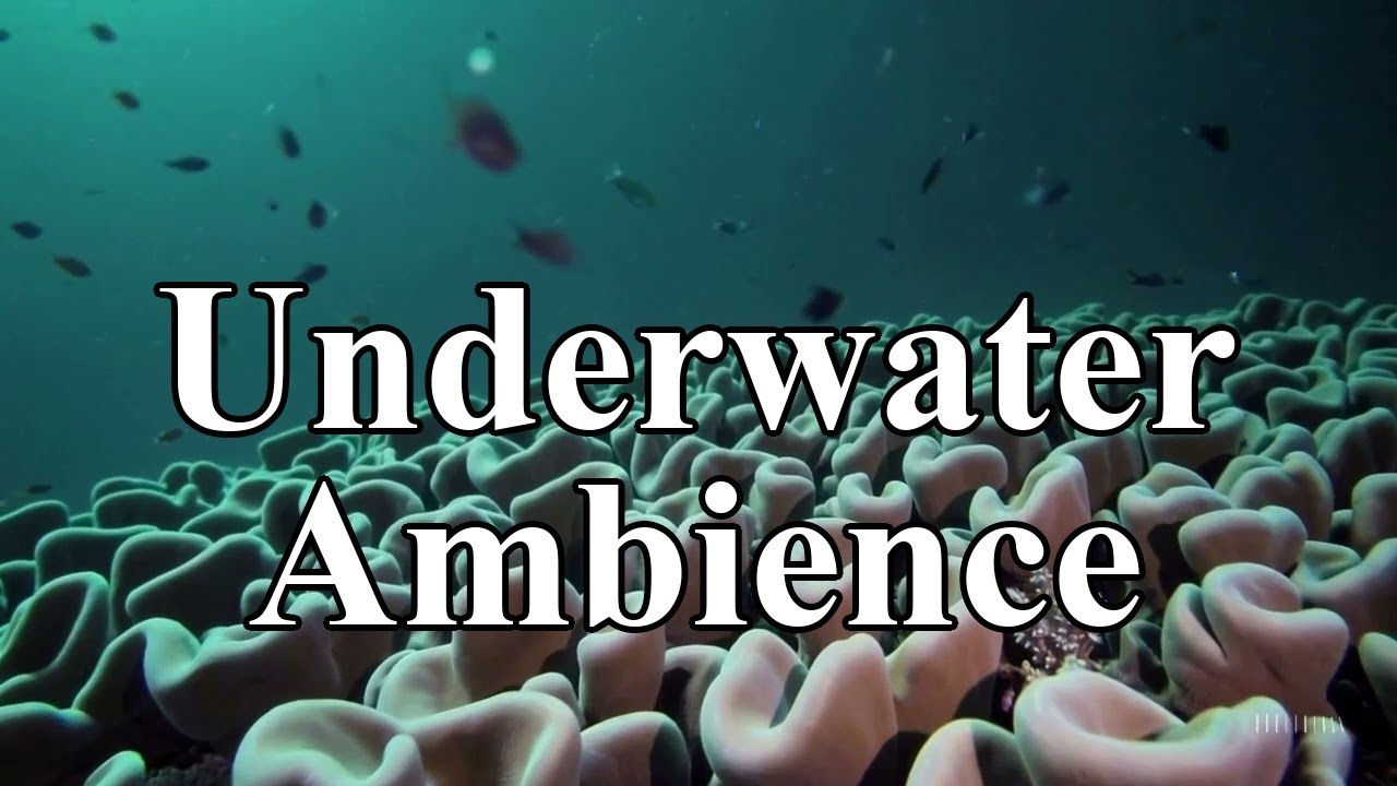 Peaceful Rest - Abyssal Ocean Ambience - 1Hour (Long Mix)