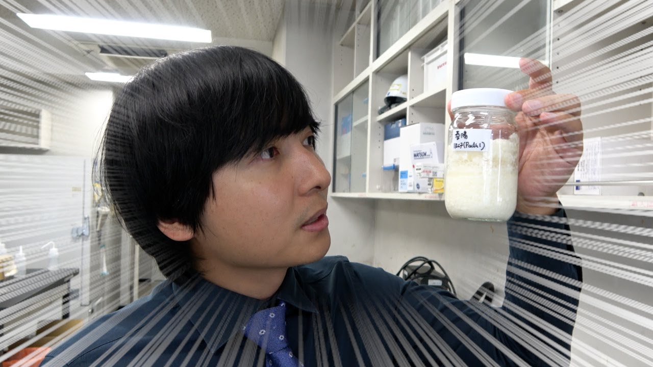大学院生の研究内容を聞いてみた【奈良先端大】
