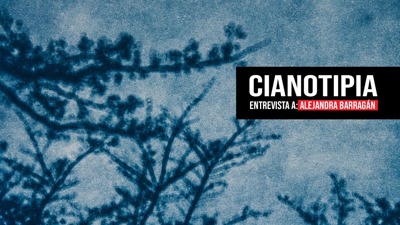 Cianotipia, entrevista con Alejandra Barragán