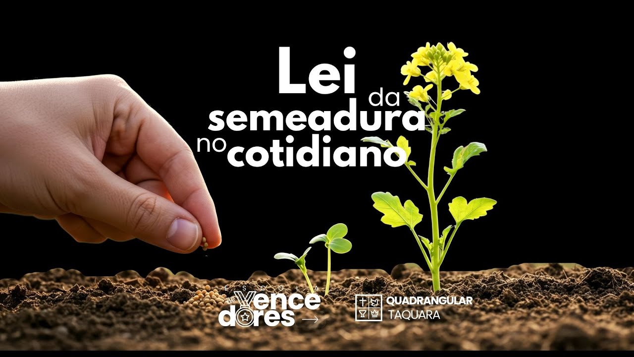 📺A Lei da Semeadura no Cotidiano