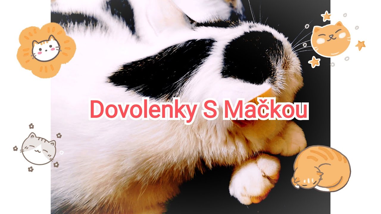 Dovolenky S Mačkou