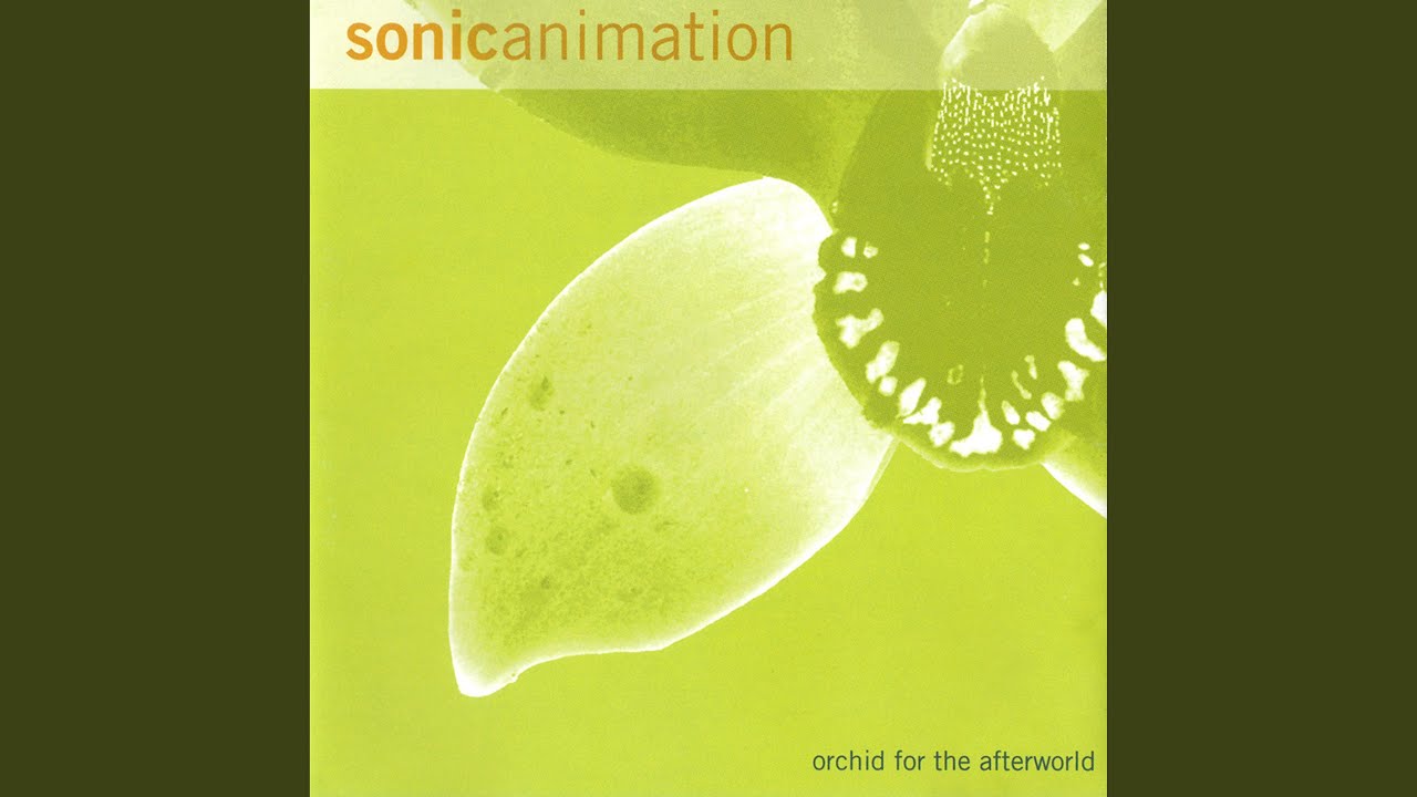 Orchid for the Afterworld