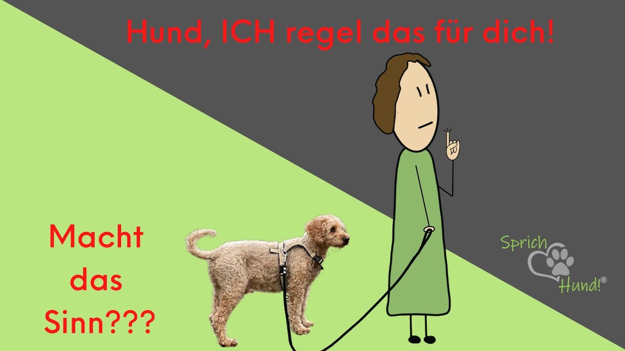 Hund, ICH regel das für dich! Sprich Hund Talk mit Dagmar Spillner