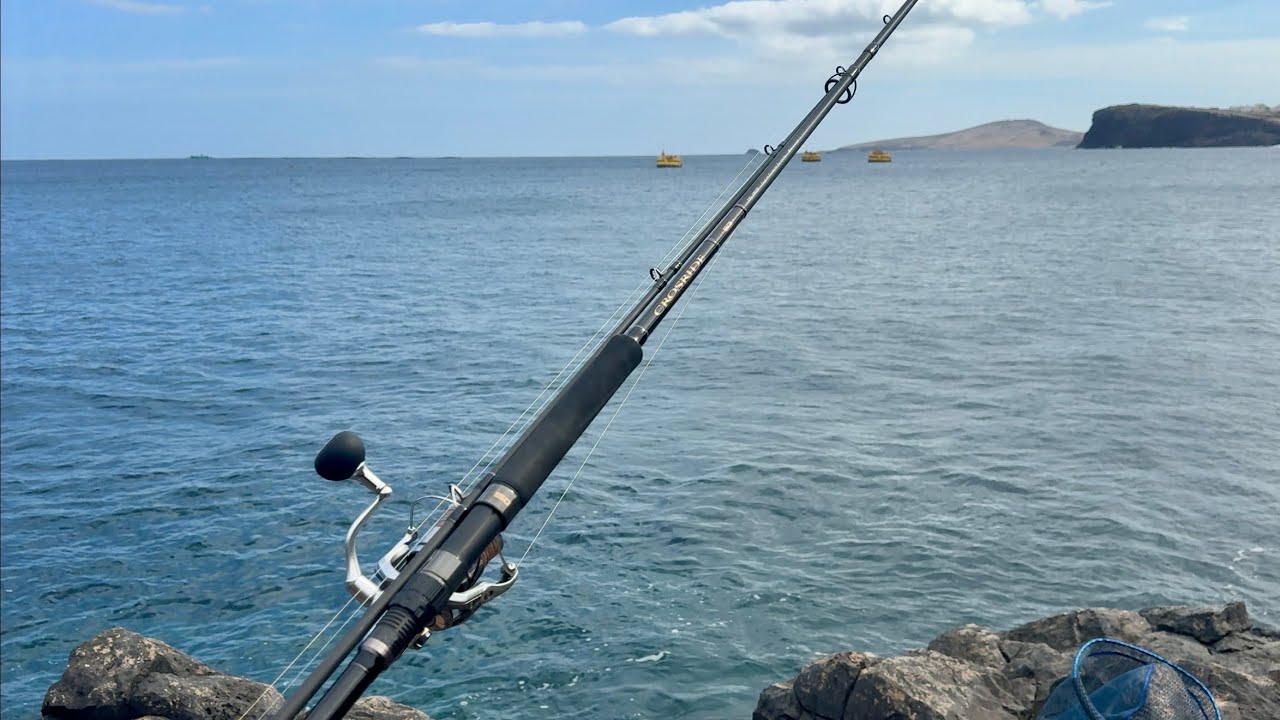 ¡Vibraxs está emitiendo en directo!