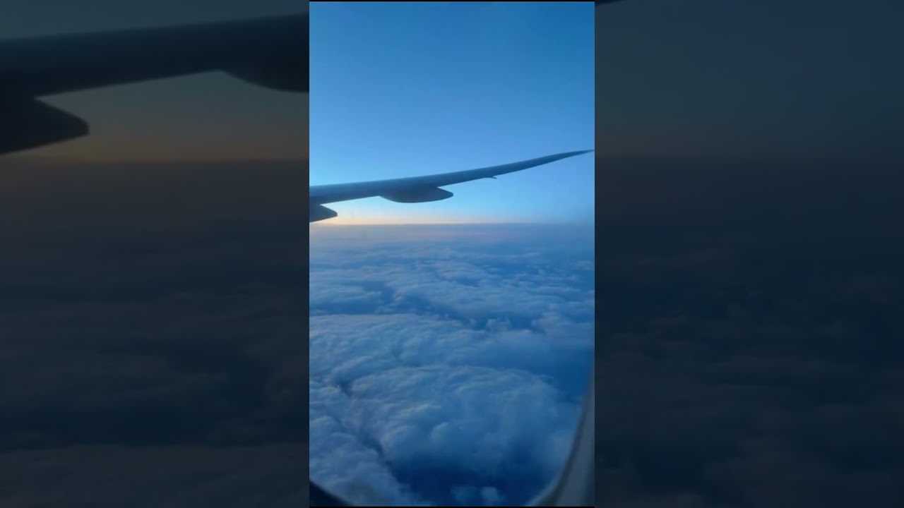 un œil sur notre filière 