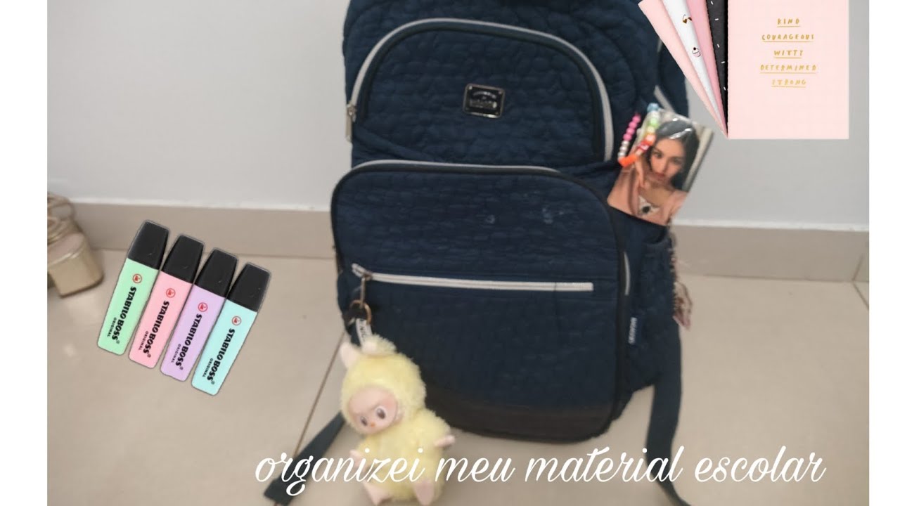 ORGANIZEI MEU MATERIAL ESCOLAR DE 2026 - ficou lindo !