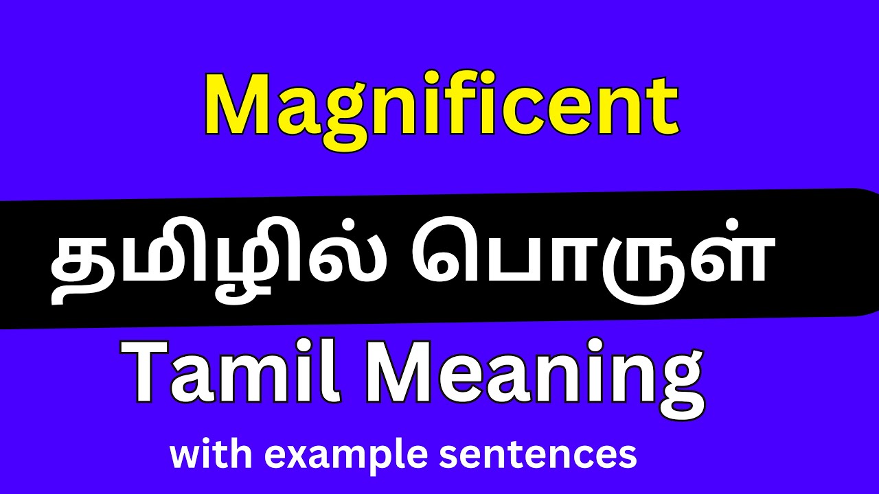 Magnificent meaning in Tamil/Magnificent தமிழில் பொருள்