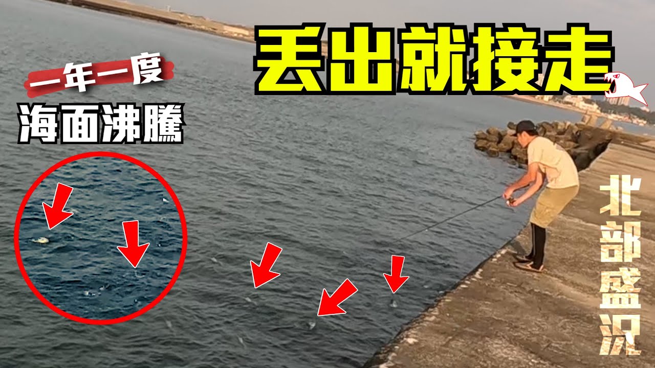 好幾萬元的日本料理在水面上跳...是什麼魚讓阿伯每天都來？釣魚人必須朝聖的年度盛事！ #前打 #磯釣 #新竹
