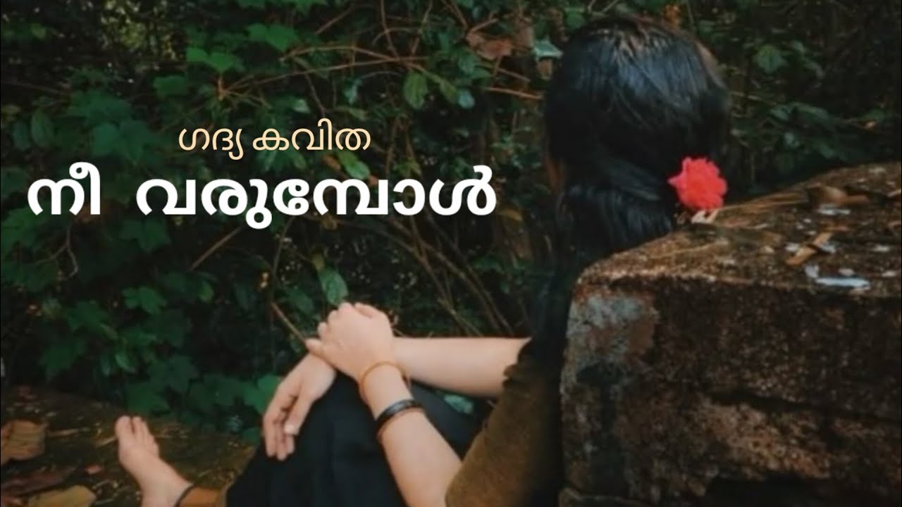 നീ വരുമ്പോൾ (ഗദ്യ കവിത) # ആർ. സുകുമാരൻ തൊടുപുഴ & ബിന്ദു കെ.എം. മലപ്പുറം 