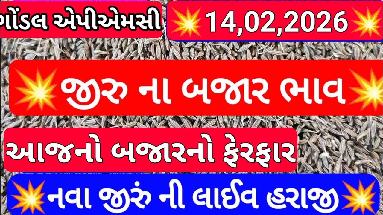 જીરાનો બજાર ભાવ / નવા જીરા ના બજાર ભાવ / ગોંડલ જીરાના બજાર ભાવ /14,02,2026
