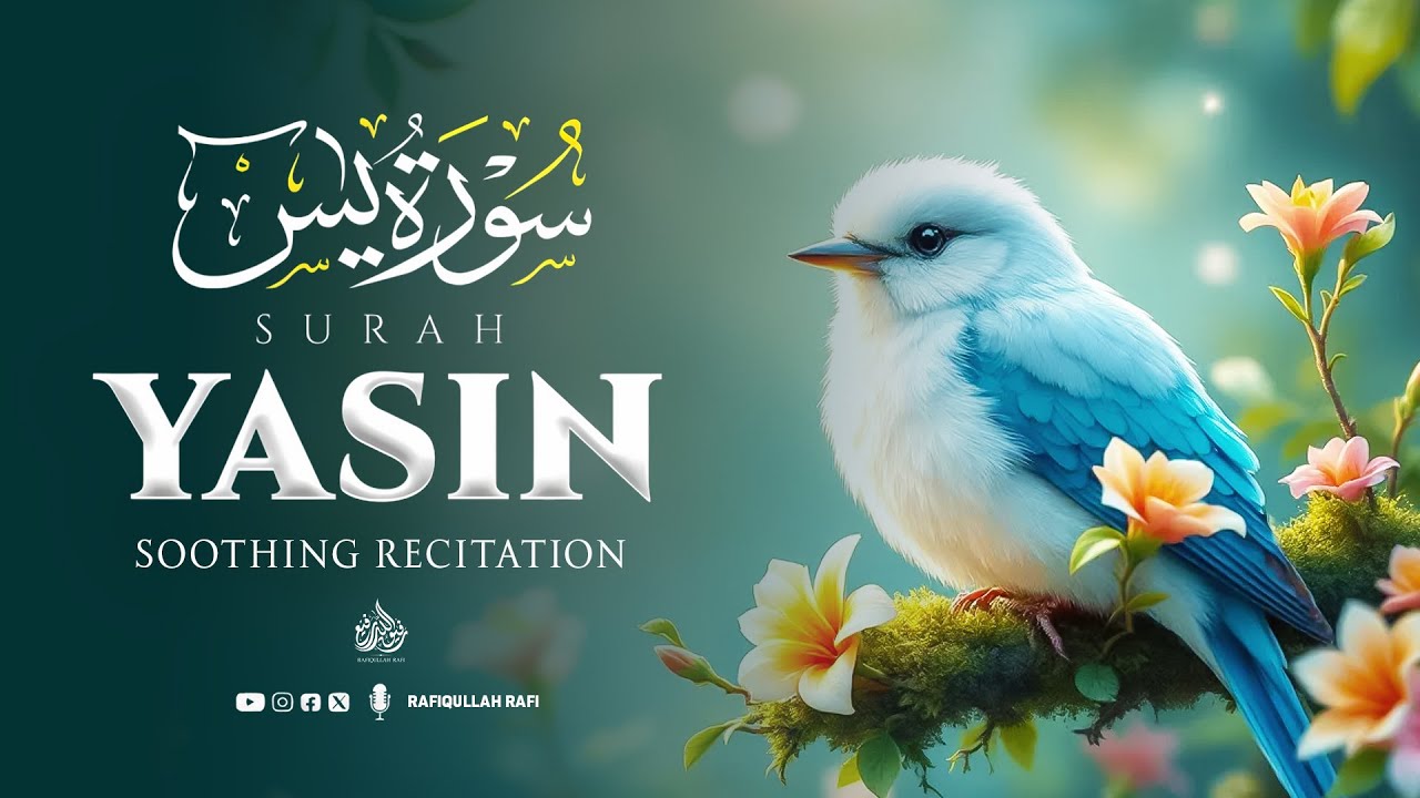 Surah Yaseen (Yasin) (سورة يس) | Stress Relief & Deep Sleep Quran Recitation #relaxingquran