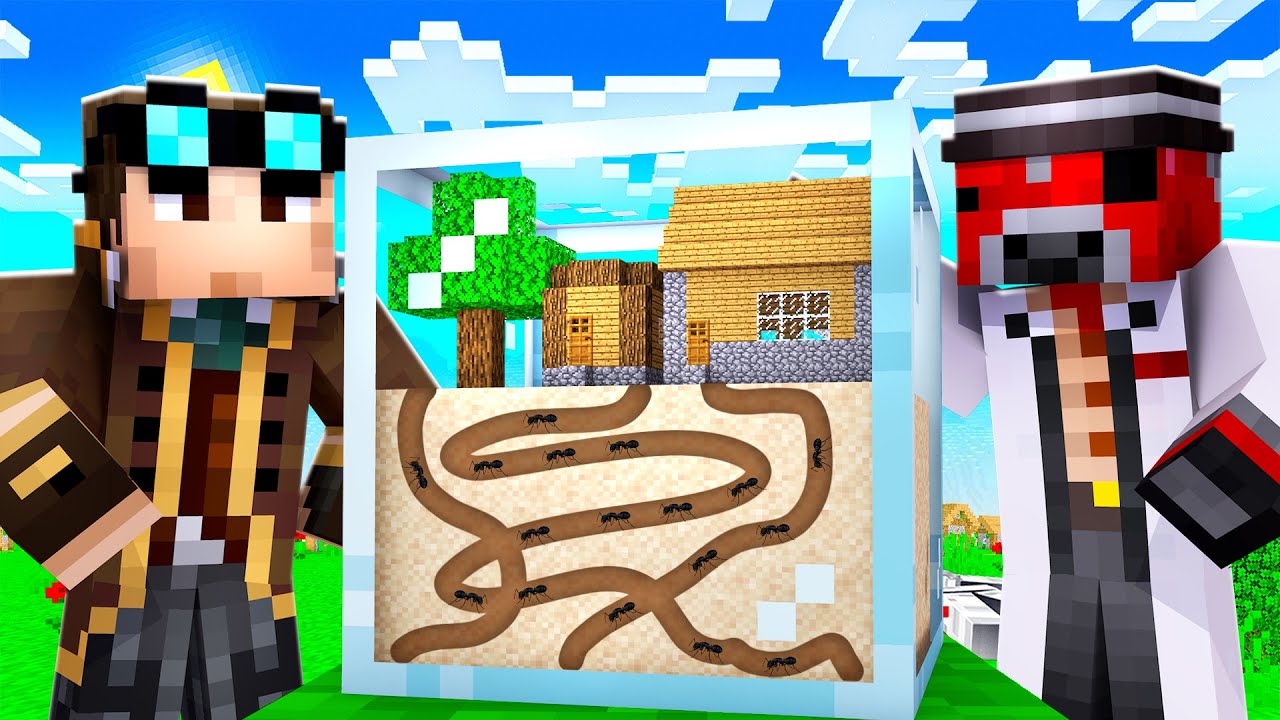 100 GIORNI NEL FORMICAIO ANT-FARM SU MINECRAFT!