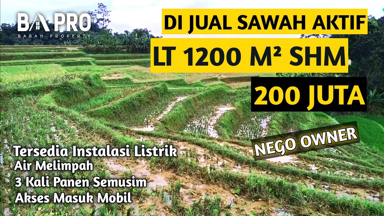 DIJUAL SAWAH PINGGIR JALAN LANGSUNG LT 1200 M² SHM 200 JUTA