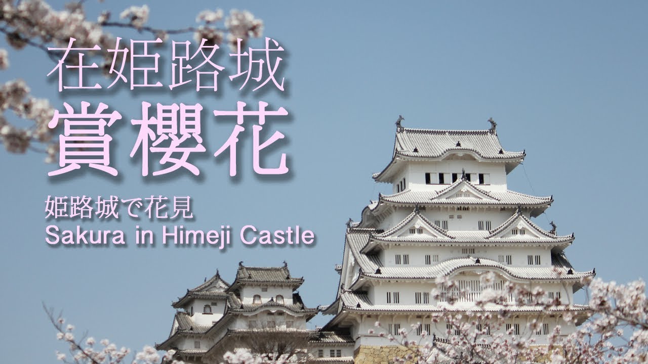 在姫路城賞櫻花 | 姫路城で花見 | Sakura in Himeji Castle