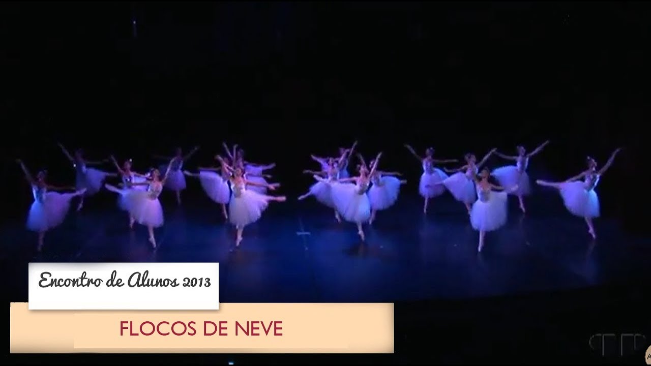 Encontro de Alunos 2013 - Flocos de Neve