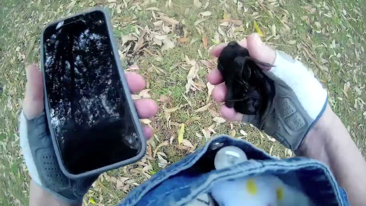 Rescuing a flying-fox pup found on the ground:  this is Origami