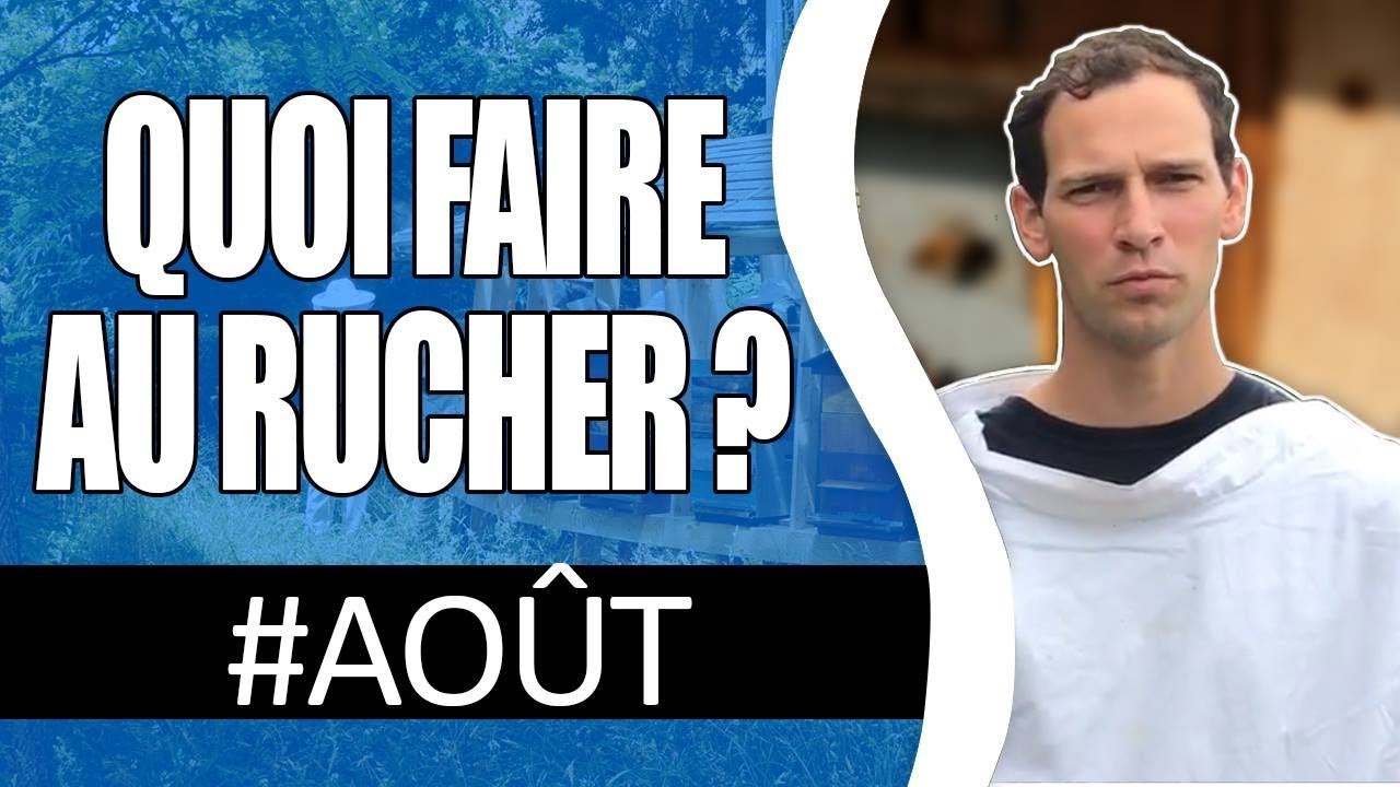 Quoi faire au rucher en Août ???