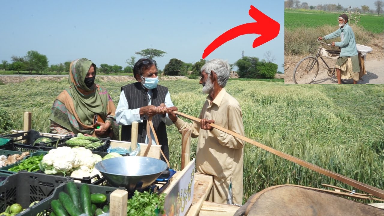 Poor Old Man Gets New Donkey Cart | Gift For His Honesty