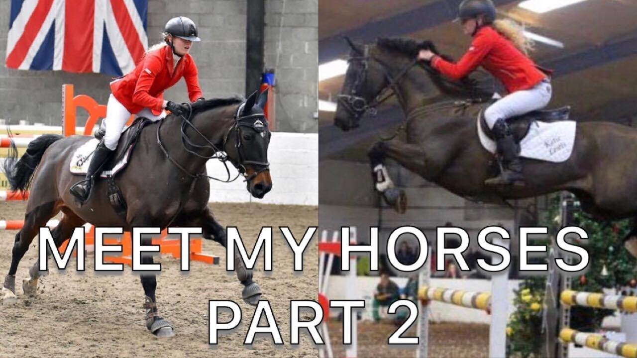MEET MY HORSES [PART 2]