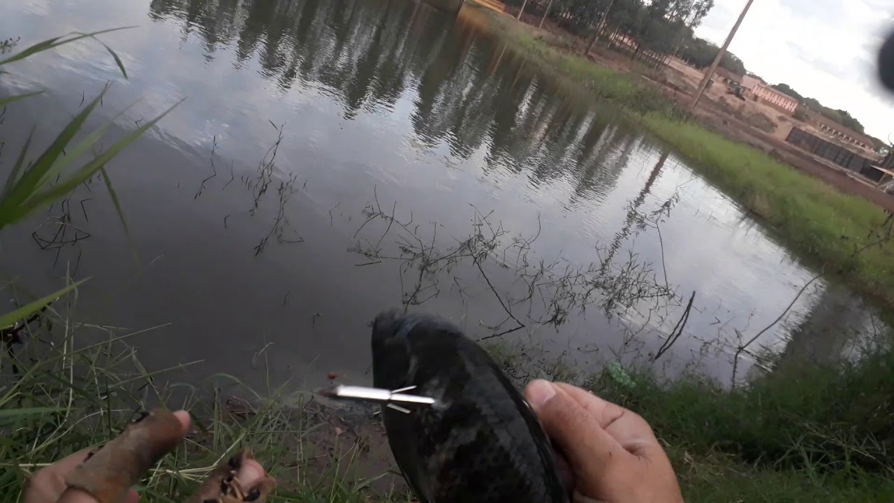 Pesca moderna