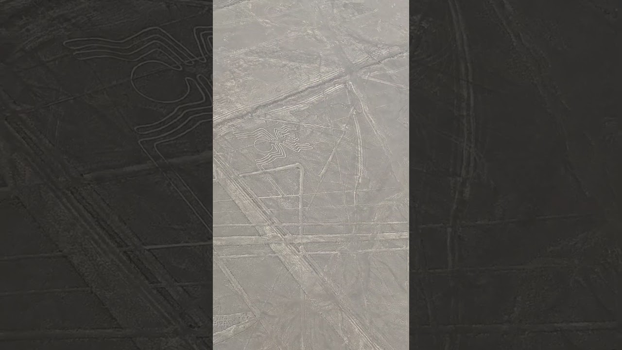Nazca Lines | The Spider 🕷️ 