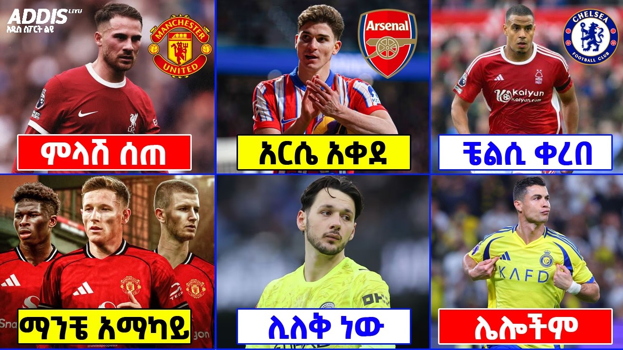 የዝውውር ዜና ፡ ማካሊስተር ወደ ማንቼ ፣ አርሴና አልቫሬዝ ፣ ቼልሲ ቀረበ ለ ተከላካይ ፣ ሌሎችም መረጃዎች