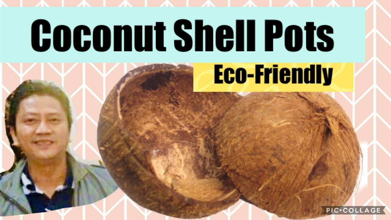 Coconut Shell Pot Gawing Taniman/Vertical Coconut Shell Pot Plants