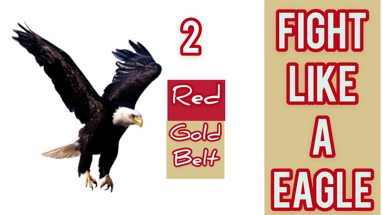 fight like a eagle ll lesson 2 , eagle kung fu for self defense ll the king in the sky ll 鹰爪拳