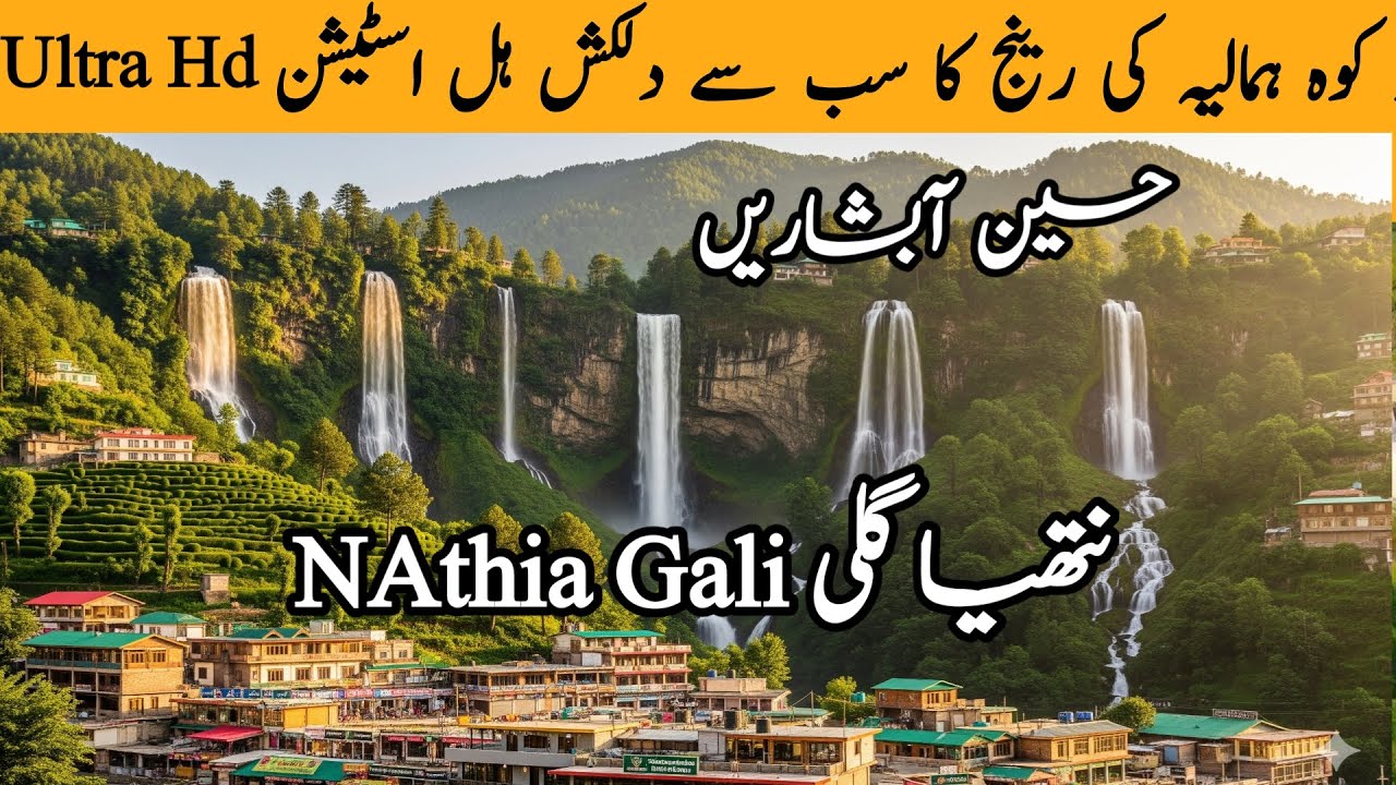 Nathia Gali Complete Vlog | Pipeline Track, Bandar Mama & Alpine Hotel | Hidden Gem of Pakistan. #yt