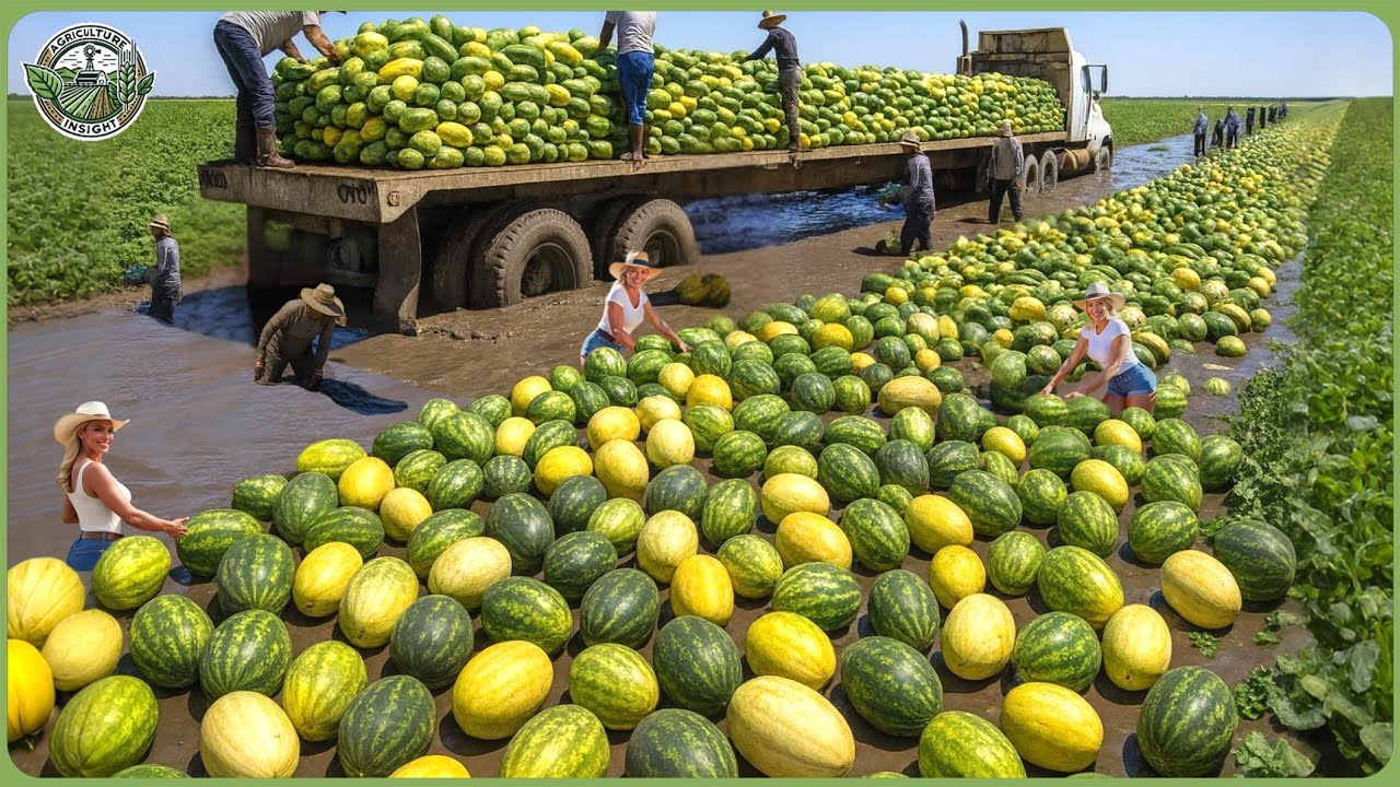 Massive Crops Transport 2025 &ndash; How Farmers Move 6 Billion Tons of Plants Across the Planet