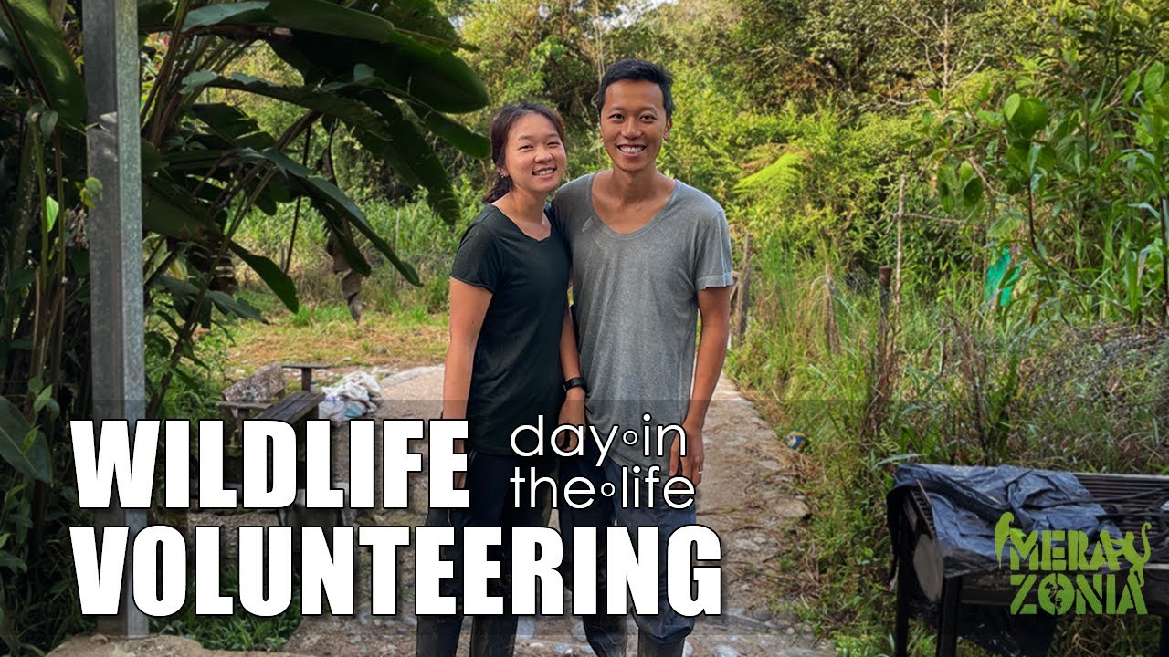 RESCUING ANIMALS IN THE AMAZON | Day in the life of a wildlife volunteer (MERAZONIA) - Pt1