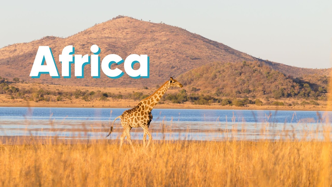 Volunteer in Africa with @ProjectTrustVolunteers