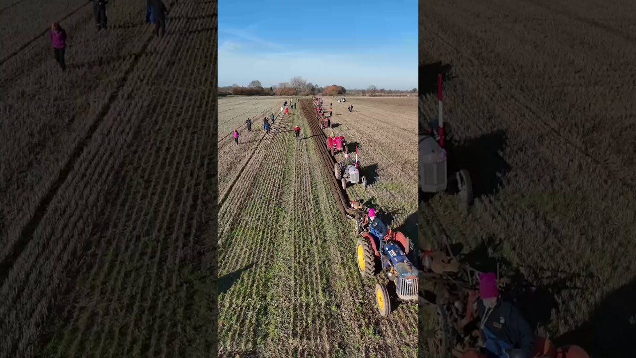 Ladies ploughing full