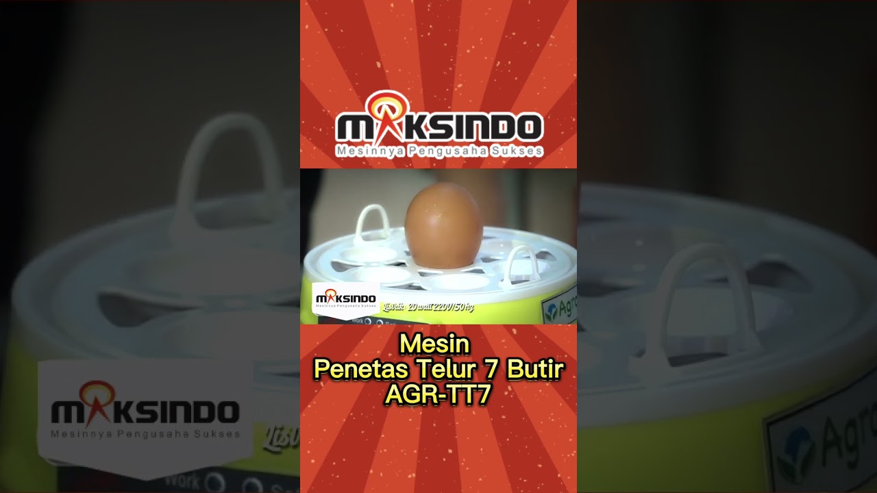 Mesin Penetas Telur 7 Butir AGR TT7 