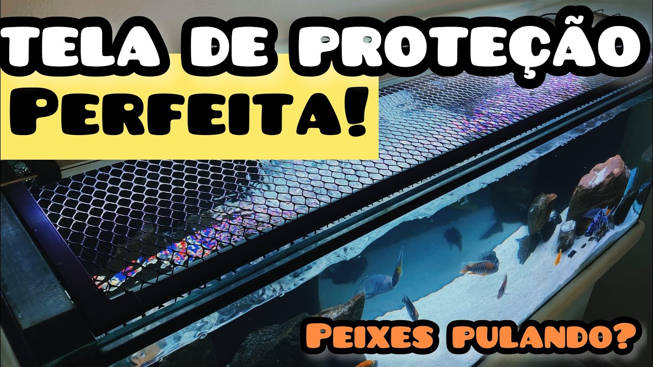 COMO FAZER UMA TELA DE PROTEÇÃO INCRÍVEL PARA SEU AQUÁRIO: PASSO A PASSO