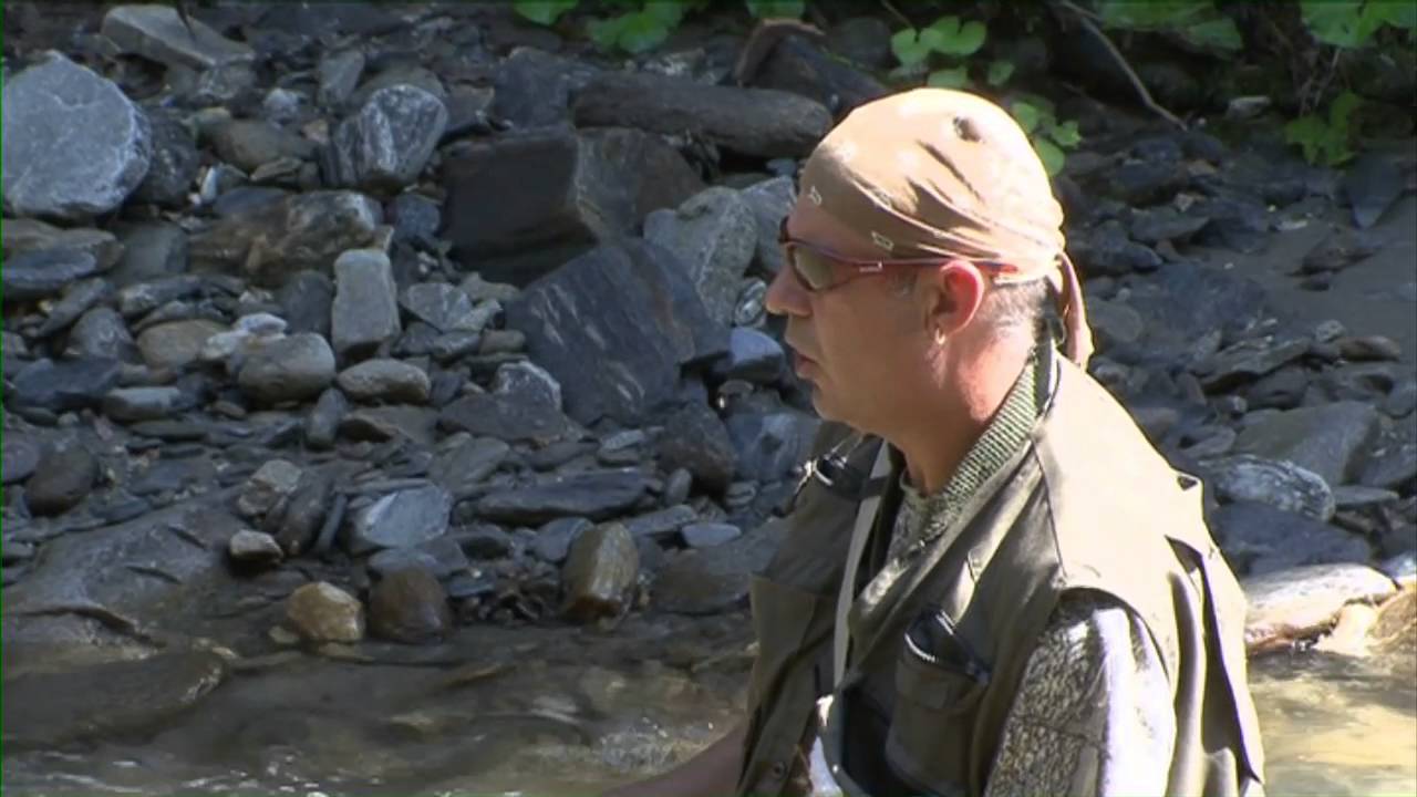 Natură şi aventură - Harta păstravului din România, Valea Doamnei