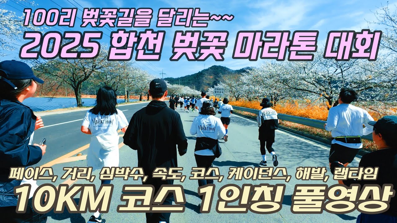 2025 합천 벚꽃 마라톤 10KM 1인칭 풀영상