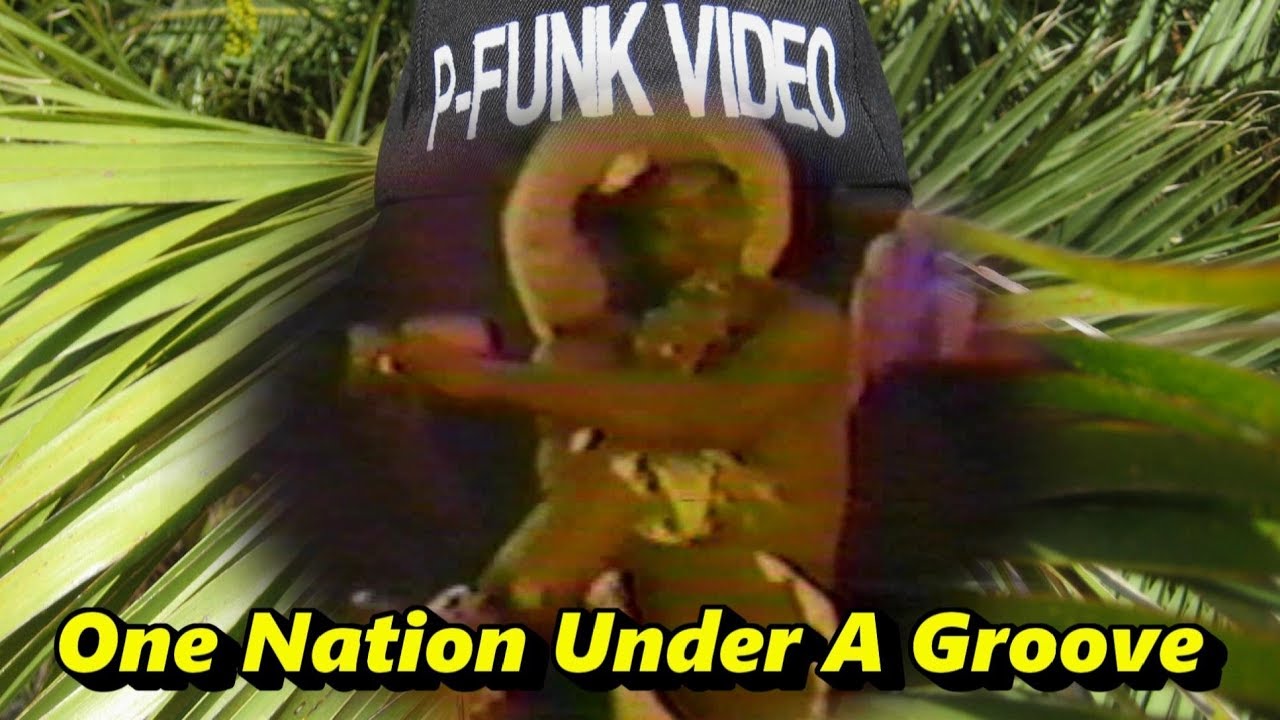 Parliament-Funkadelic - One Nation Under A Groove