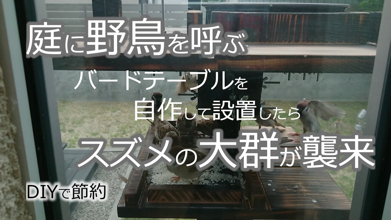 【ゆるい節約でリタイア】DIYで節約_庭に野鳥を呼ぶためバードデーブル（エサ台）を自作して設置したらスズメの大群が襲来！
