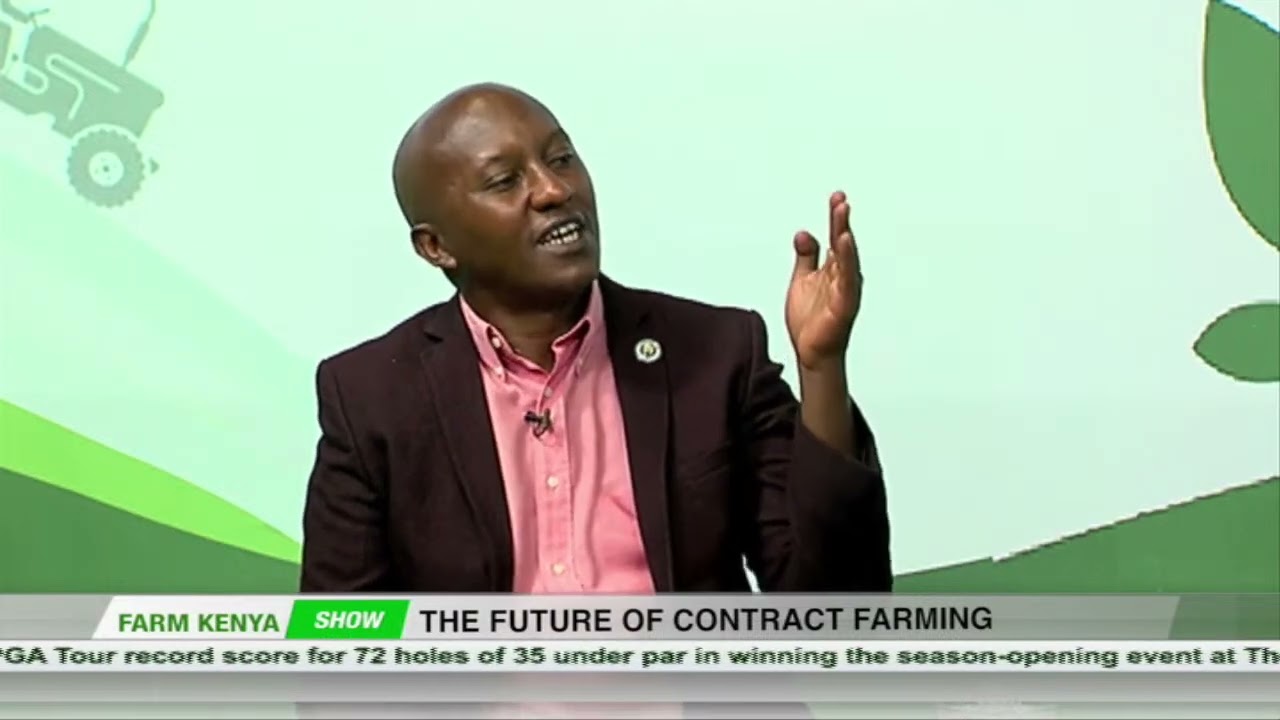 The future of contract farming | Farm Kenya