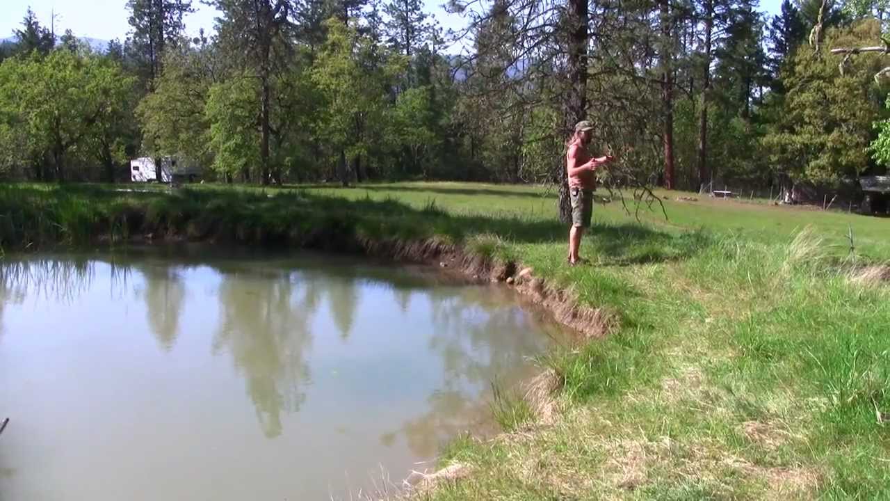 Permaculture Keyline Water Systems: Don Tipping @ Seven Seeds Farm
