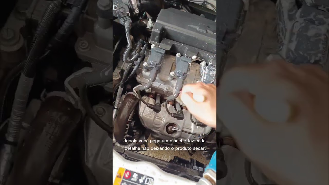 Lavando motor da 