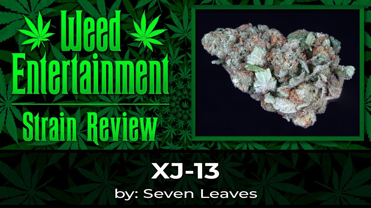 XJ-13 - by Seven Leaves - Review - October 2023