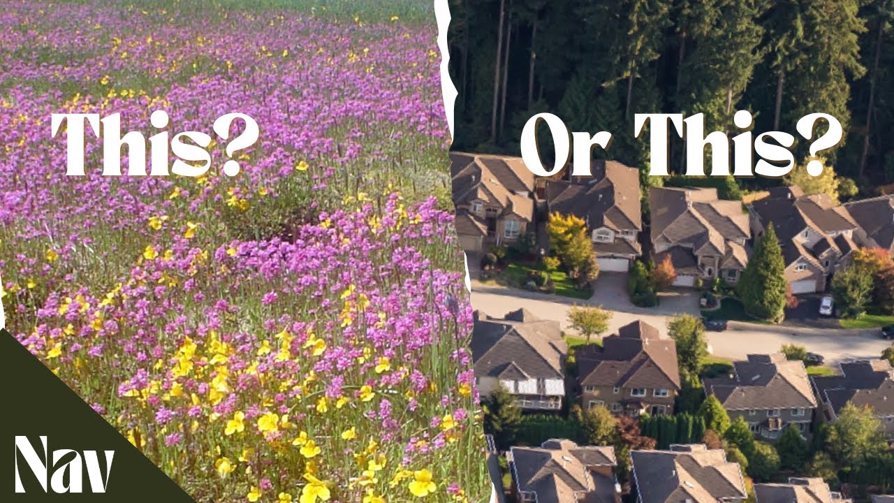 Nanaimo's Flowering Jewel: Inside the Fight to Protect Harewood Plains